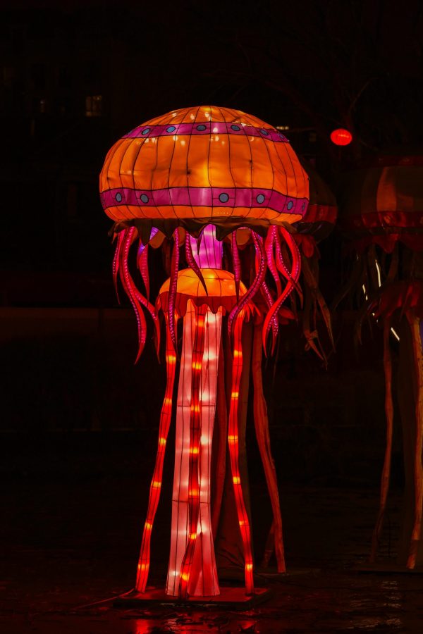 Out Door Lamp